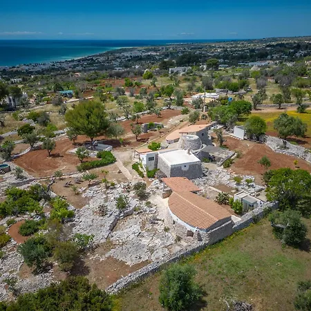 Pajara Dei Lilla
